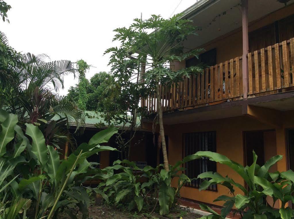 Cabinas El Muellecito Tortuguero Extérieur photo