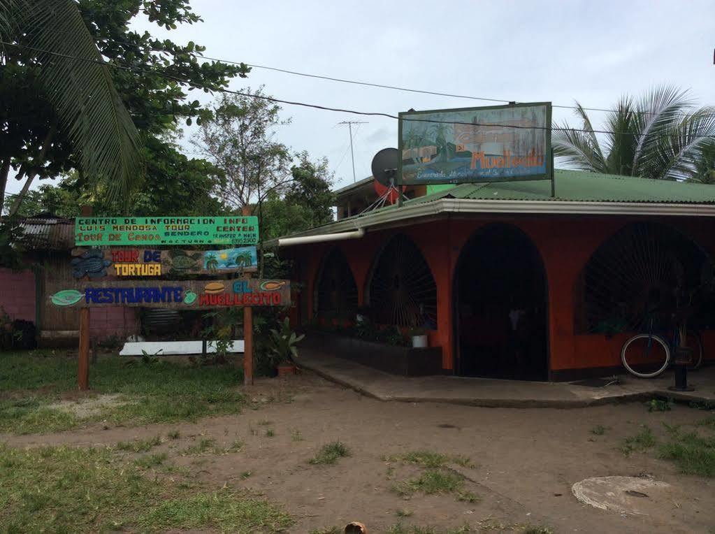 Cabinas El Muellecito Tortuguero Extérieur photo